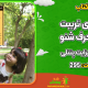 سبد خرید و پرداخت