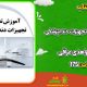 سبد خرید و پرداخت