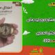 سبد خرید و پرداخت