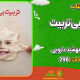 سبد خرید و پرداخت