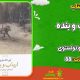 سبد خرید و پرداخت