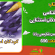 دانلود PDF کتاب کودکان تیز هوش ویرجینیا. ز. ارلیچ