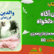 سبد خرید و پرداخت