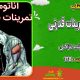 سبد خرید و پرداخت