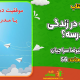 سبد خرید و پرداخت