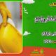 سبد خرید و پرداخت