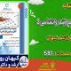 سبد خرید و پرداخت