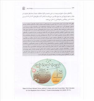 دانلود کتاب پوست و مو لیلا جمالزاده